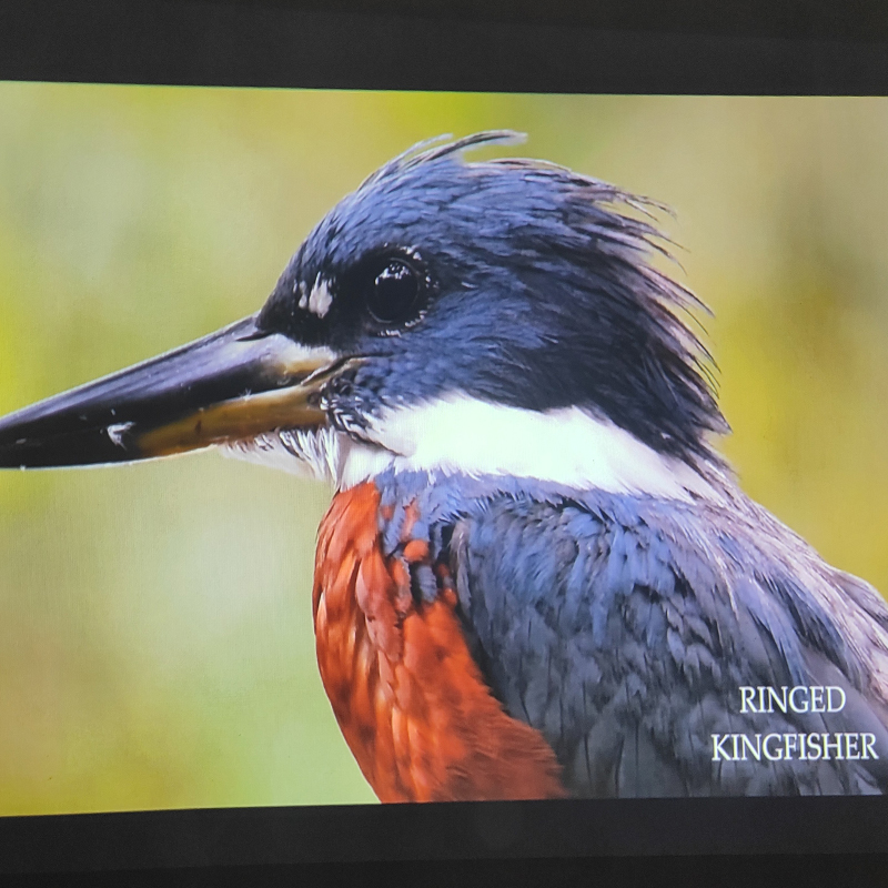 Second Hand Projector Epson EB-C301MS price in Bangladesh