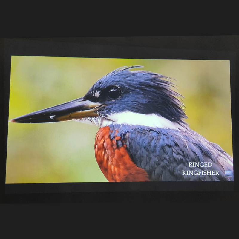 Second Hand Projector Epson EB-C301MS price in Bangladesh