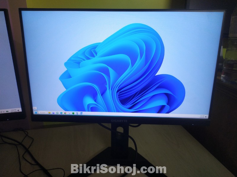 Gigabyte GA24F2 24