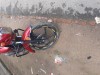 Runner Freedom Royal 100cc bike