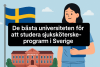 Universitetet för att studera omvårdnad i Sverige bikrisohoj