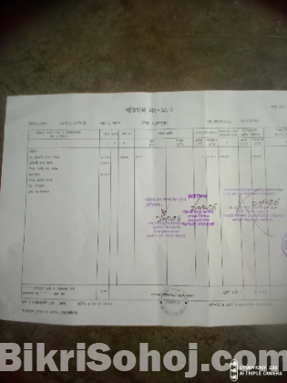 ১০ মিনিট আমিন শিপ কোচিং