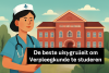 Beste universiteit voor verpleegkunde Nederland bikrisohoj