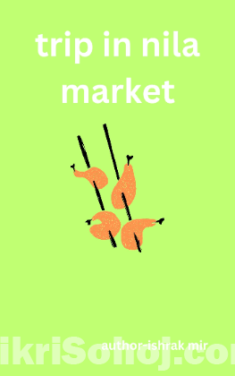 trip in nila market