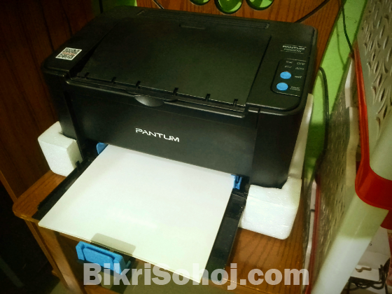 Pantum P2500W Laser Printer