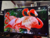 Lg 43 inch 4k tv fully fresh conduction tv kom price best Tv