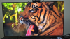 LG 65-inch 4K UHD Smart TV