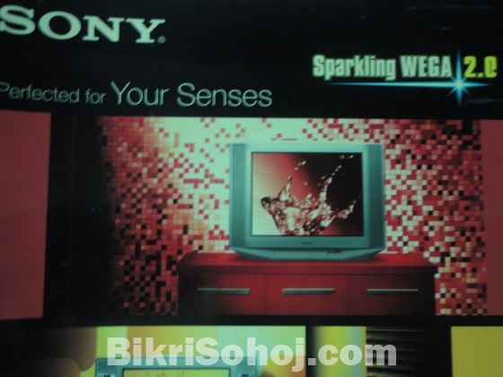 SONY WEGA 2.0