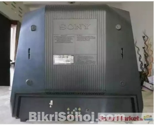 SONY 29