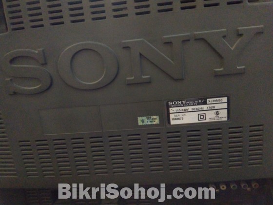 SONY-29