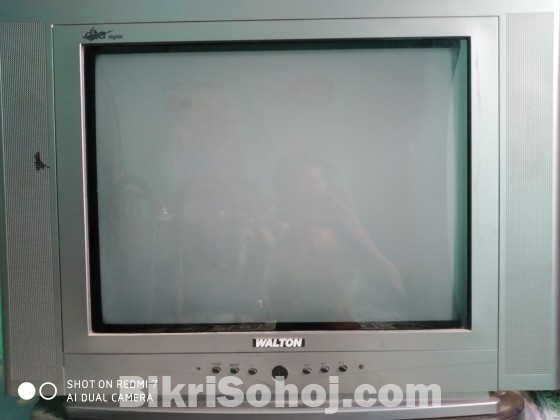 Walton tv 21 inches