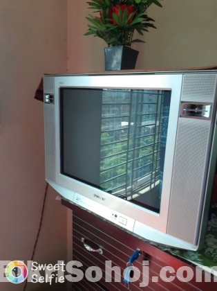 SONY WEGA 21