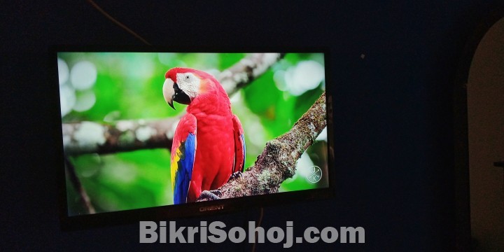 Orient 24inch LED TV