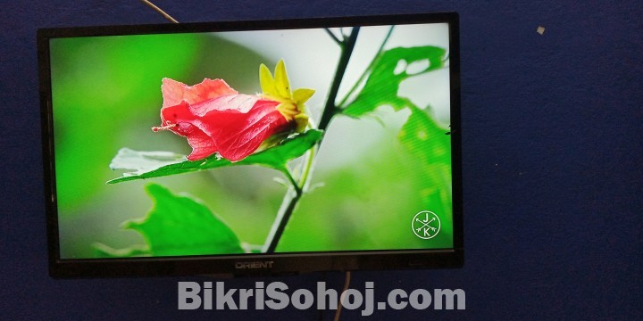 Orient 24inch LED TV