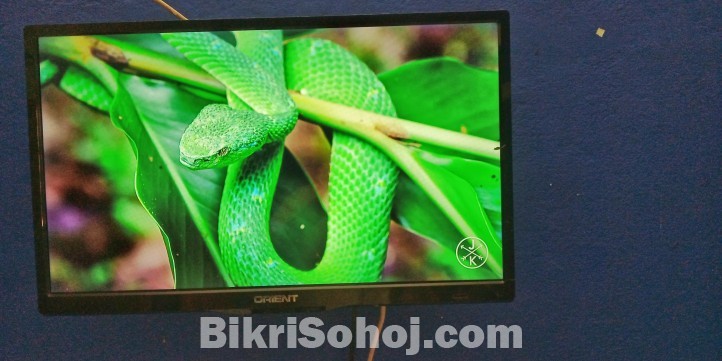 Orient 24inch LED TV