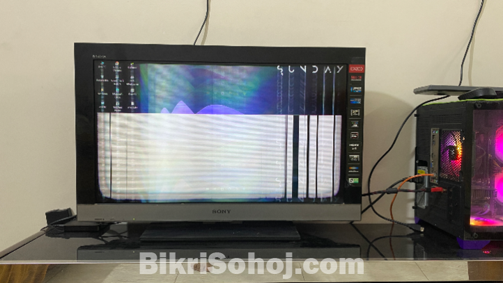 Sony Bravia 32 inch Panel Problem