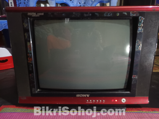 21 Inch Sony Tv