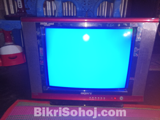21 Inch Sony Tv