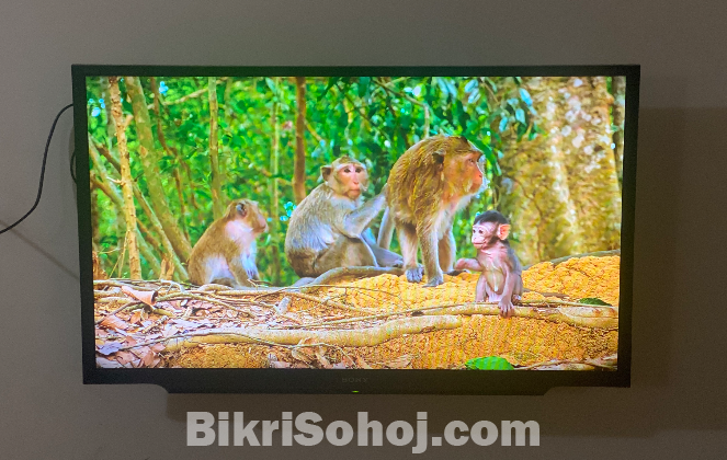 Sony Bravia 32” Smart Tv