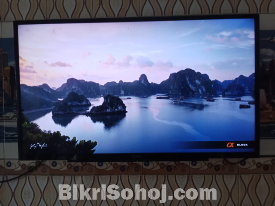 SONY BRAVIA
