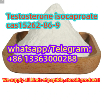 Testosterone isocaproate cas15262-86-9