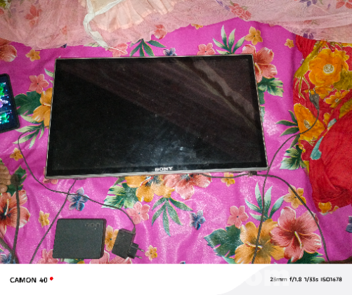 Sony