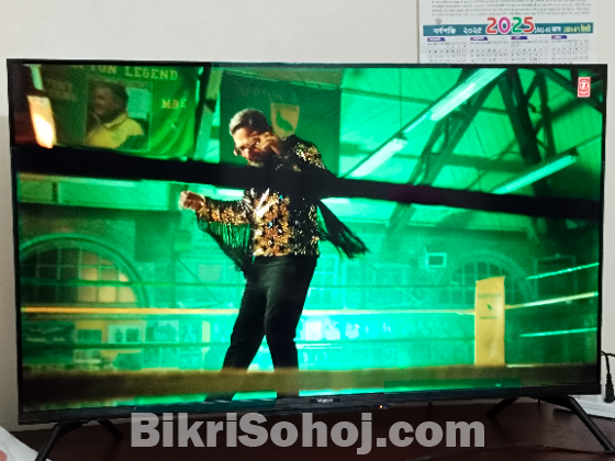 Vision QLED 4K Google Tv | 43QR1