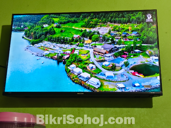 Walton smart Android Tv
