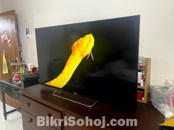 Sony Bravia 55 inch TV