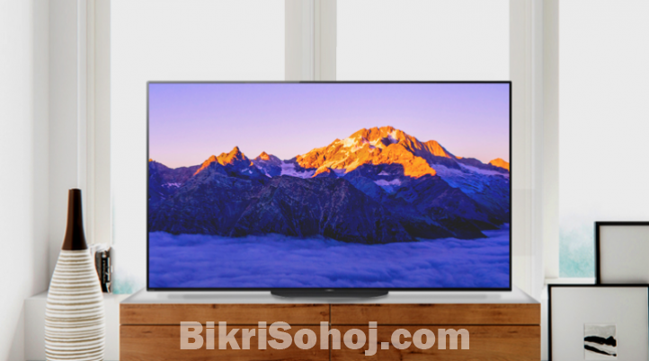 SONY BRAVIA 55