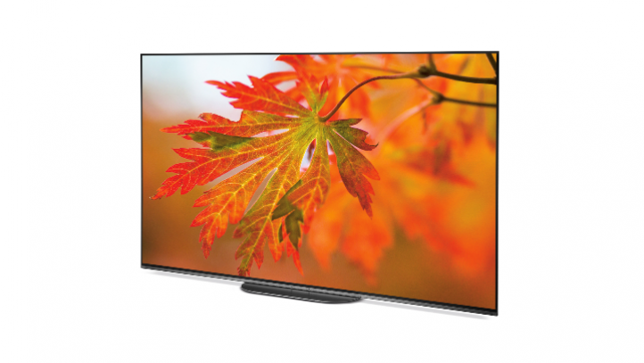 Sony A9G 55 inch Android 4K Oled TV