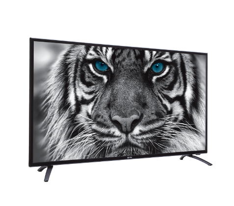 SONY PLUS 32 inch BASIC HD LED TV