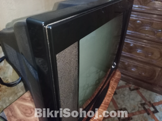 Singer 22 inch non smart tv new condition