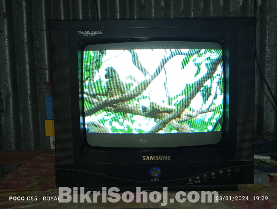 Sony CRT tv