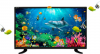 24 inch SONY PLUS Q01 SMART ANDROID LED TV