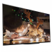 55″ (A9G) OLED 4K Android TV Sony Bravia