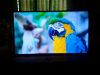 43 inch Walton Smart full HD( Black )Tv for sell