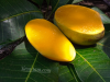 রাজশাহীর সুমিষ্ট বৈশাখী আম