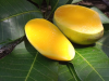 রাজশাহীর সুমিষ্ট বৈশাখী আম