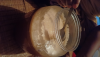 সুন্দরবনের খাটি মধু /Modhu/Honey