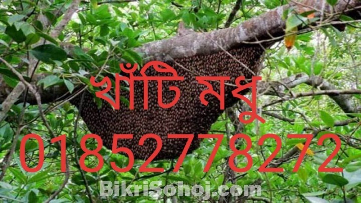 সুন্দরবনের মধু