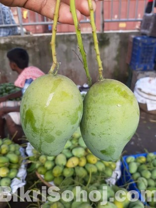 চাঁপাইনবাবগঞ্জের সু-মিষ্টি জাতীয় আম্রুপালী আম