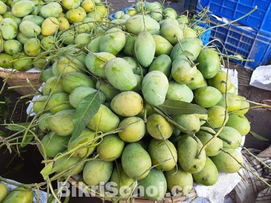 চাঁপাইনবাবগঞ্জের সু-মিষ্টি জাতীয় আম্রুপালী আম