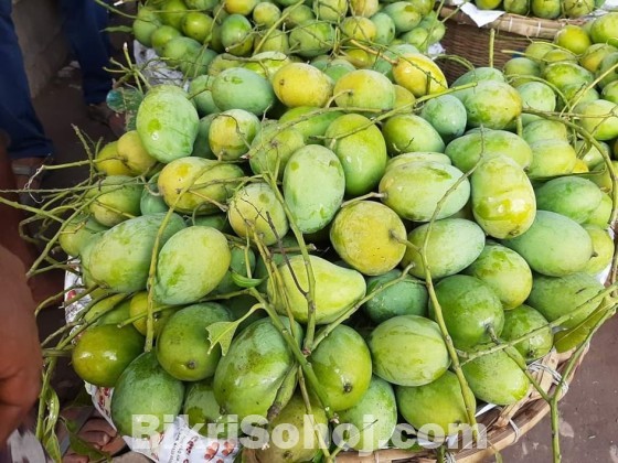 চাঁপাইনবাবগঞ্জের সু-মিষ্টি জাতীয় আম্রুপালী আম