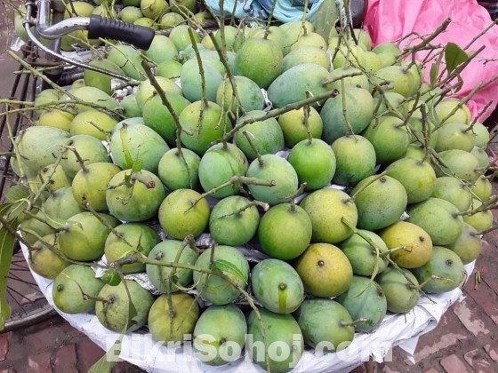 চাঁপাইনবাবগঞ্জের সু-মিষ্টি আমরুপালী অর্ডার দিন