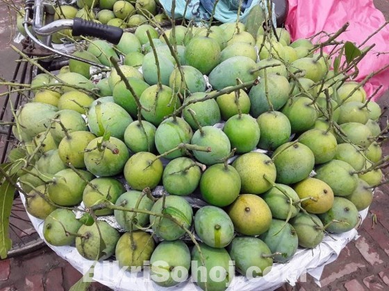 চাঁপাইনবাবগঞ্জের সু-মিষ্টি আমরুপালী অর্ডার দিন