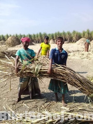 প্রাকৃতিক আখেরগুড়