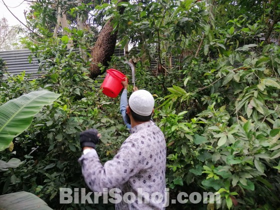 প্রাকৃতিক মৌচাকের খাঁটি মধু