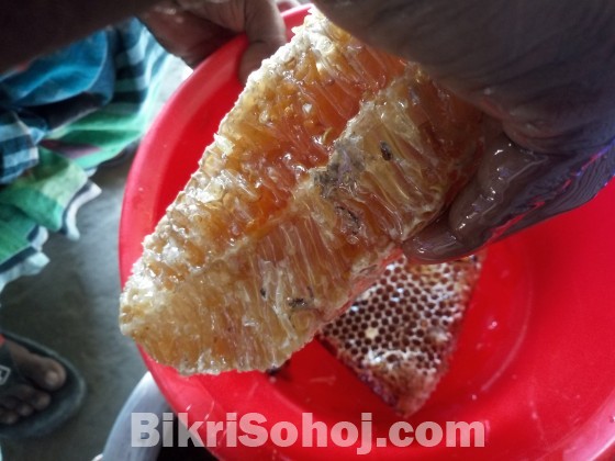 প্রাকৃতিক চাকের মধু ( ১০০% ভেজাল মুক্ত)
