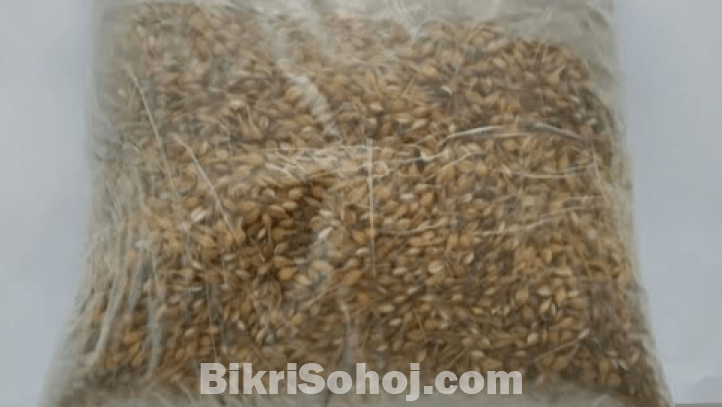 Barley (যবের দানা) ৭৫০ গ্রাম